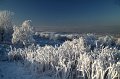 823 - hoar frost on hilltop - MC CANCE William - scotland